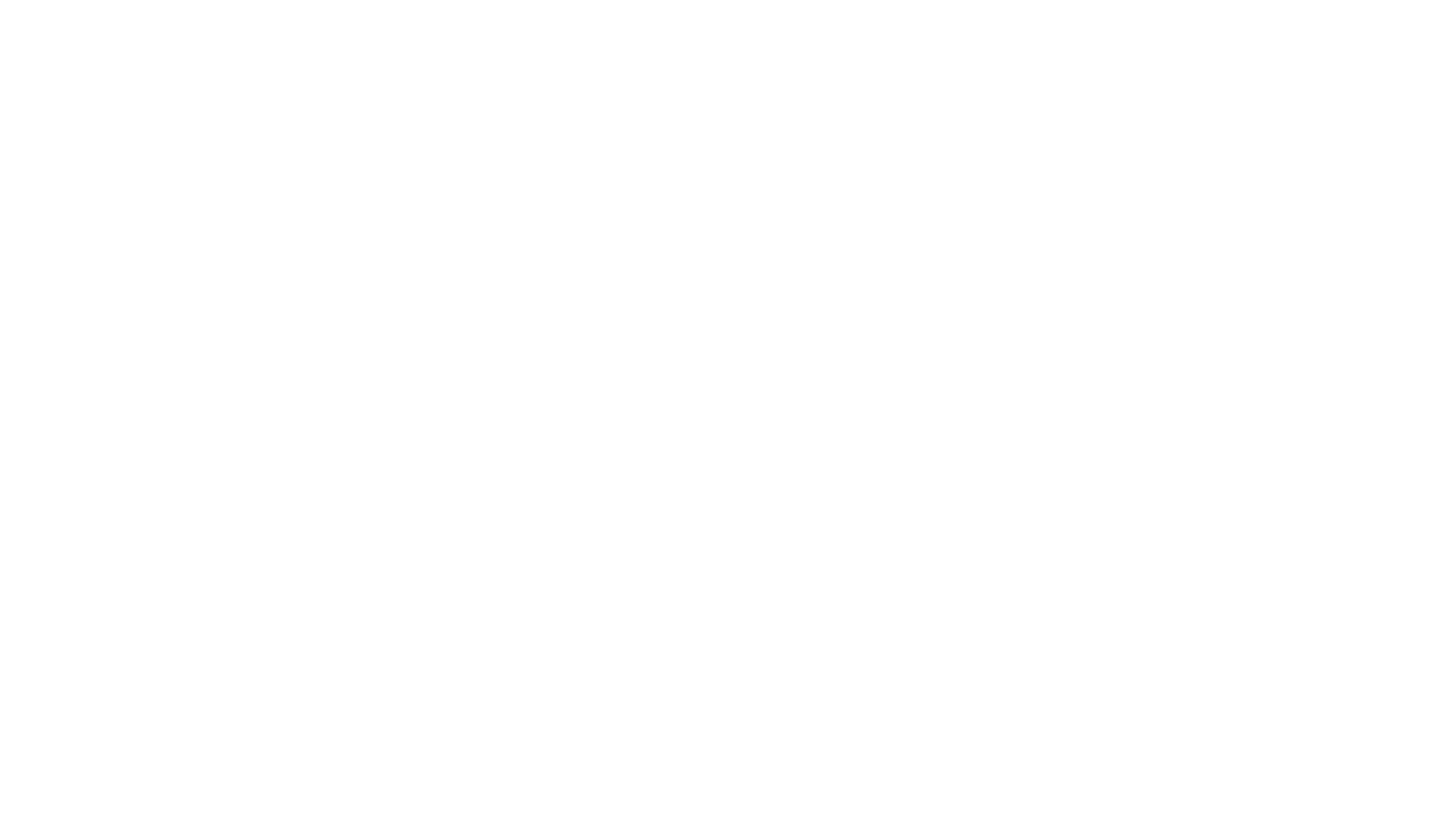 Millbrook Indian Logo